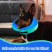 Buy FWLWTWSS Inflatable Dog & Cat Recovery Collar - Adjustable Velcro Leak Protection Blue L (30.5cm-45.7cm) - Buy Online on GoSupps.com