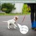 Beylos 2Pcs Double Ended Dog Lead Hook Durable Dog Lead Clips for Connect Ropes Chains Dog Traction Belts Walking Small Pets Also Used for Hanging Keys Packing Luggage or Farm Applications - Buy Online on GoSupps.com