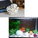 Buy Besimplle 2-Piece Artificial Coral Ornaments - Aquarium Resin Coral Decor & Underwater Sea Plants for Stunning Decor - Buy Online on GoSupps.com