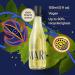 natura Ekos Maracuj Nature of Dreams Frescor Eau de Toilette for Women - Long Lasting Fragrance Notes of Citrus Passion Fruit Greenery Florals & Musk - Fresh Citric Green Women s Perfume 150ml - Buy Online on GoSupps.com