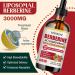 12-in-1 Berberine Supplement Liquid Drops 2 Fl Oz, 3000mg Liposomal Berberine HCL Complex with Ceylon Cinnamon Plus Turmeric, High Absorption Berberine Drops 2 Fl Oz (Pack of 1) - Buy Online on GoSupps.com