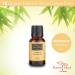 Karma Organic Essential Therapeutic Grade Pure Essential Oil (15ml) (Grapefruit) - Buy Online on GoSupps.com
