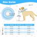 Sbayool Blue L Soft Adjustable Dog Donut Cone Collar for Post-Surgery Recovery - Anti-Licking & Comfortable - Buy Online on GoSupps.com