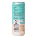 Possibilitea Bio Iced Citric - Organic Lemon Iced Tea (12x330ml Cans) | Vegan & Climate Neutral | Refreshing Cold Beverage - Buy Online on GoSupps.com