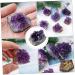 PRETYZOOM Purple Ornament 2pcs Amethyst Cluster Chips Rock Amethyst Gravel Geode Natural Crystal Adornment Irregular Fluorite - Buy Online on GoSupps.com