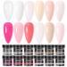 Major Dijit 12 Colours Acrylic Nail Set Professional Polymer for 3D French Nail Manicure Extension Nail Carving Durable Beauty Gifts