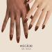 MEGIOR Brown Gel Nail Polish 15ml Chestnut Gel Polish High Gloss Soak Off UV LED Nail Gel Polish for Nail Art Manicure Salon DIY Home Gift for Girls Seal Brown - Buy Online on GoSupps.com