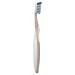 Oral-B Pro-Health All in One Toothbrush 1 ct 1 count (Pack of 1) 40M