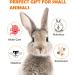 Natural Timothy Hay Treats for Rabbits, Guinea Pigs, Hamsters - Pack of 12 Handmade Chews & Treats for Teeth - Bunny & Gerbil Toys Included - Buy Online on GoSupps.com
