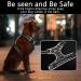 Shop Heele Dog Crockery & Adjustable Reflective Harness for Medium Dogs - Soft Breathable Anti-Pull | Floral-Black Design - Buy Online on GoSupps.com