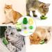 Havenfly 4-Pack Rotatable Catnip Balls - Edible Cat Mint Toys & Wall Rollers for Cats - Buy Online on GoSupps.com