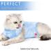 Lianzimau Katzenbody: Medical Cat Suit for Post-Operation Recovery | Anti-Losing Light Blue Clothing for Cats - Buy Online on GoSupps.com