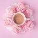 Rawkao She Shatavari Drinking Chocolate - Organic Raw Vegan Moon Milk Powder | Sugar-Free Hot Cocoa & Coffee Replacement | Energy Drink for Women - 8g Pack | Pureeraw - Buy Online on GoSupps.com