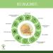 Prot ine de Soja Bio - Bioptimal - 92% Prot ines 17% BCAA - Haute Digestibilit - Energie Musculation - Poudre de F ve de Soja Biologique - 100% Pur - Conditionn en France - Certifi Ecocert - 3 kg Sans saveur 3000g - Buy Online on GoSupps.com
