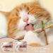 Buy Lithyc 8-Piece Catnip Stick Set | Cat Toothbrush & Pressure Relief - Fun & Healthy Chewing for Cats - Buy Online on GoSupps.com