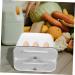 2-layer Egg Holder Storage Rack Organizer Large Egg Refrigerator Holder -layer Fridge re-usable - Buy Online on GoSupps.com