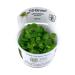 Tropica Limnobium laevigatum 1-2-GROW! (Amazon Frogbit) Reduces Algae Growth in Aquariums