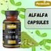 Puranicals Alfalfa Capsules - 320 Capsules | 100% Pure & Natural | Rich in Vitamins & Minerals | Supports Detox & Wellbeing | Non-GMO Gluten-Free Herbal Supplement | 600mg per Serving - Buy Online on GoSupps.com