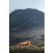 Buy Lifesystems Emergency Shelter for 2 Ideal for Hiking & Mountaineering | International Shipping Available - Buy Online on GoSupps.com