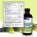 Nature's Answer Mullein X Cough Syrup PM 4 Fluid Ounce | Upper Respiratory Sleep Stress Support | Non-GMO | Vegan | Gluten Free - Buy Online on GoSupps.com