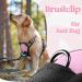 Rabbitgoo Dog Harness for Large Dogs Adjustable No-Choke Anti-Pull Pink Harness with Handle & Soft Padded Reflective Chest 1 Pack - Buy Online on GoSupps.com