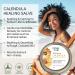 Epifany True Natural Calendula Salve 2oz + Calendula & Comfrey Herbal Salve 2oz Fragrance Free 2-Pack Bundle | Dry Skin Soothing Balm Eczema Cream Itch Relief - Buy Online on GoSupps.com