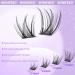 Buy Wispy Lash Clusters Kit | Natural C Curl Eyelash Extensions - 16mm with Bond & Seal - Winifred - Buy Online on GoSupps.com