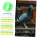 BCOATH 600 pcs Yellow Birds Parrots Chicken Household Supplies Escape Parrot for Pigeons Anti Bantam Colorful Poultry Professional Quail Pet Bird Leg Classification Small Dove Colored Tabs 1.3X1.3X0.5CMx2pcs As Shownx2pcs - Buy Online on GoSupps.com