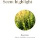 Young Living Rosemary Essential Oil - 100% Pure Aromatherapy for Focus & Clarity | Invigorating Herbal Aroma - 15ml International Shipping - Buy Online on GoSupps.com