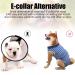 Recreational Surgical Recovery Suit for Dogs & Cats | Postoperative Abdominal Protectors | XXL Protective Wear - Buy Online on GoSupps.com