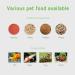 VIVOSUN Programmable Automatic Fish Feeder | Volume Timer Control - Buy Online on GoSupps.com