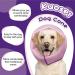 Kuoser Adjustable Dog Collar XL - Comfortable Leakage Protection & Wound Prevention 42-55cm Neck Purple - Buy Online on GoSupps.com