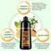  GMOLARSUSCO Dark Brown Hair Dye Shampoo 3 in 1 for gray hair 100% gray coverage for women and men herbal ingredients color shampoo in minutes 500 ml - Buy Online on GoSupps.com
