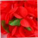 LIFKICH 1 Set 4pcs Hawaiian Floral Garland Make up Headband Artificial Floral Necklace Luau Necklaces Premium Hawaiian Wreath Lei Hair Clips Hawaiian Garland Red Banquet Lillo The Flowers Red Size 1 - Buy Online on GoSupps.com