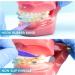 500PCS Annhua Neon Rabbit Dental Elastic Rubber Bands - 3/16 4.5oz for Tooth Gaps, Dog Grooming, Braids, and Dreadlocks - Buy Online on GoSupps.com