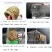 2Pcs Handmade Birdcage Straw Birdhouse for Lucky Birds - Natural Fiber Simulation Nest for Resting and Breeding - Provides Shelter and Hideaway from Predators and Cold Weather - Buy Online on GoSupps.com