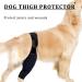 Dog Leg Brace Elbow Brace Protector Pads for Small Dogs and Cats Support Elbow Hygroma Shoulder Dysplasia Osteoarthritis Elbow Calluses and Shoulder Dislocation(L) Large - Buy Online on GoSupps.com