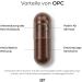 SP7 OPC Grape Extract 240 Vegan Capsules | 1000mg Daily Dose | High-Dosage German-Made Lab-Tested Premium European Grapes - Shop Now! - Buy Online on GoSupps.com