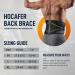Back Brace for Lower Back Pain Relief | 7 Stays Bionic Waist Pad | Men & Women | Lumbar Support for Sciatica Herniation Weight Lifting (M) Black - Buy Online on GoSupps.com