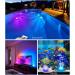 Nalezuns 13 LED Underwater Pool Lights - RGB Color Changing Decorative Lights with Remote Control for Pools Fountains Ponds & Aquariums - Set of 4 - Buy Online on GoSupps.com