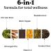 3000mg Iris Sea Moss 2000mg Black Seed Oil 1000mg Ashwagandha 1000mg Burdrock Root 1000 mg Bladderwrack with Black Pepper & Vitamin C |Vitality & Energy Support | All-in-one supplement| Pack of 2 Capsules - Pack of 2 - Buy Online on GoSupps.com
