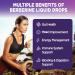 Liposomal Liquid Berberine Drops Sugar Free Berberine Extract with Ceylon Cinnamon Supplement for Adults Immune & Digestive Support Natural Lemon Flavor 2 FL OZ - Buy Online on GoSupps.com