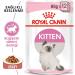 Royal Canin Kitten in Gravy Wet Food 85g (Pack of 48) - Buy Online on GoSupps.com