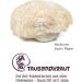 Hericium Bio Powder - Lion's Mane 200g | Premium Quality EU Produced | Sustainable German Brand | High Safety Standards - Shop Now! - Buy Online on GoSupps.com