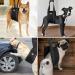Breathable Adjustable Dog Walking Aid - Support for Small to Large Dogs | Spinal Rehabilitation & Rear Lift Carrier Strap - Buy Online on GoSupps.com