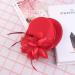 FRCOLOR Top Hat Hair Clip Feather Flower Decor Clips Fascinator Hat Veil Red Mini Top Hat for Tea Party Wedding Party - Buy Online on GoSupps.com