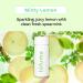 tofume Effervescent Bathroom Air Fresheners - Fresh Minty Lemon Fragrance - Toilet Deodorizer Tablets Air Fresheners For Bathroom Drop in Flushable Air Freshener Toilet Fresheners 1 Pack - Buy Online on GoSupps.com