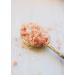 Evolution Salt Himalayan Pink Bath Salt Coarse Grind 5 lbs - 100% Natural & Pure | 5lb Pack of 1 - Buy Online on GoSupps.com