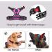 Phoepet Reflective Adjustable Dog Harness - Anti-Educational Training Handle Name ID Card XS Rose - Perfect for Easy Tightening & Weight Management - Buy Online on GoSupps.com