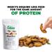 Erbies Edible Bugs Mixed Trail Mix 15g Bag - Seasoned Crunchy Insects - Protein Packed Snack with Crickets, Grasshoppers, Silkworm Pupae, Sago Worms - Fun Gift Idea - Buy Online on GoSupps.com